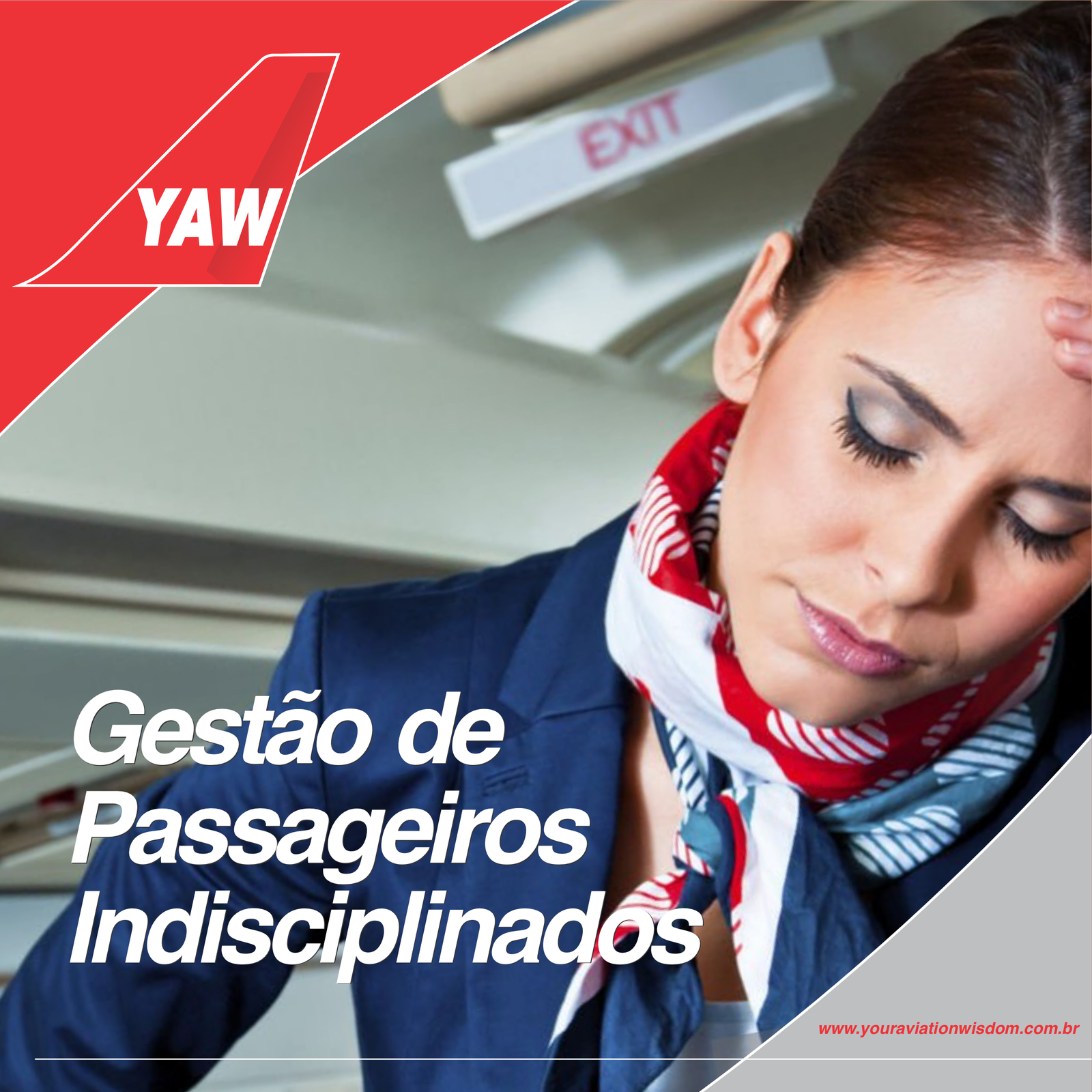 Gestão de Passageiros Indisciplinados